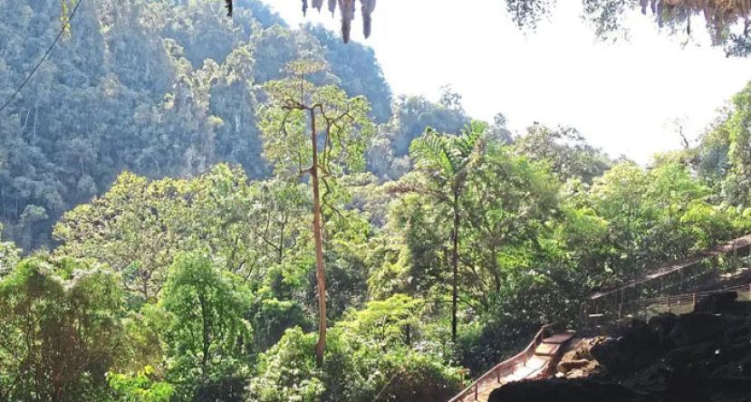 砂拉越三角洲地质公园。