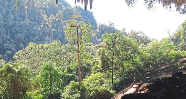 砂拉越三角洲地质公园。