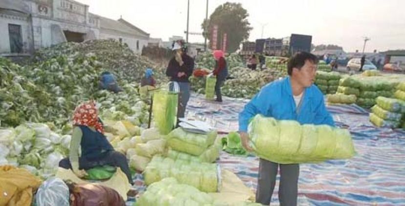 又到北方人囤菜的季节了！ 这是爹妈坚持一辈子的倔强