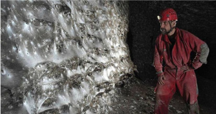 世界最大的蜘蛛网。