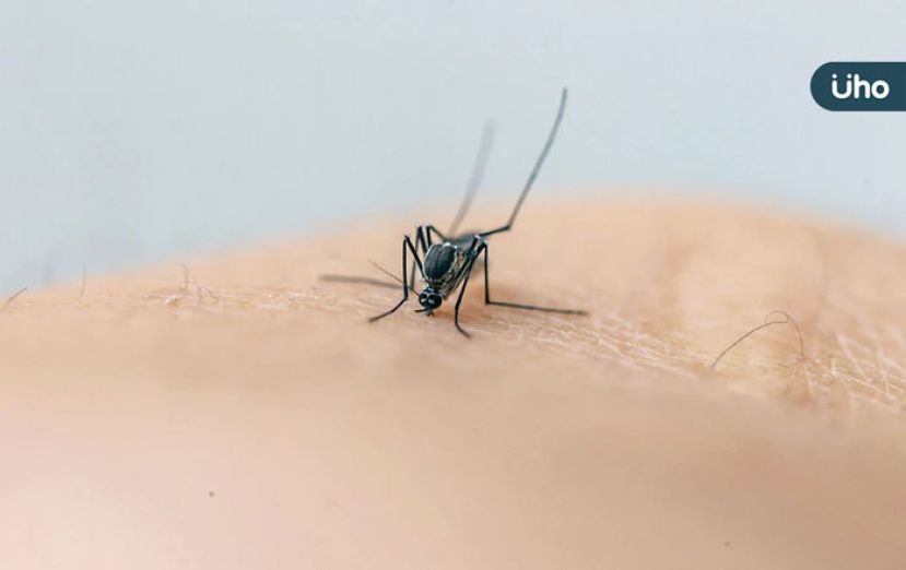 屈公病会人传人吗？　关节痛是代表症状