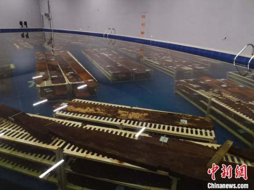 浸泡在水中的船板。