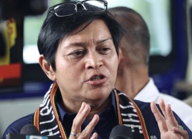 ●拿督斯里阿莎丽娜。