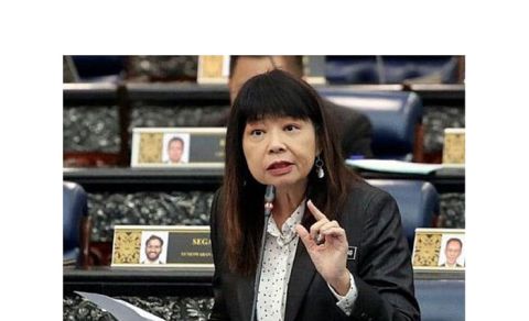 财政部副部长林慧英。