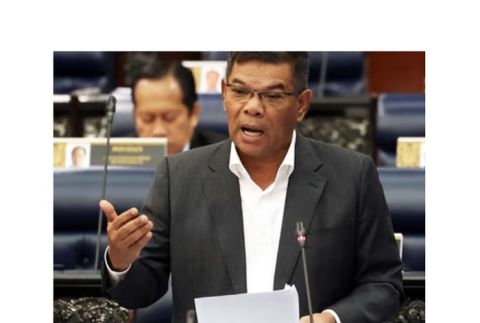 内政部长赛夫丁。