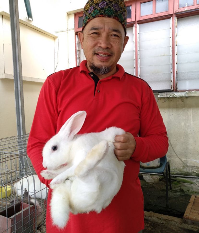 图示：哈志阿芬迪教您正确抱可爱白兔的方式。