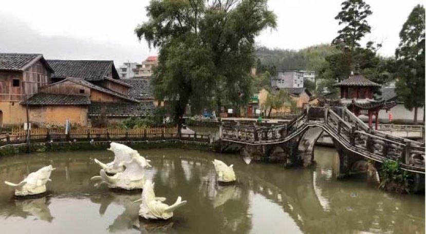探秘福建周宁鲤鱼溪：信守800年人鱼共处习俗