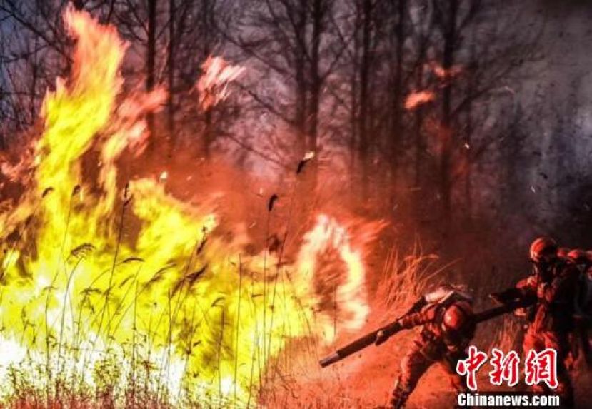4月，甘肃森林消防千里驰援山西沁源救火。