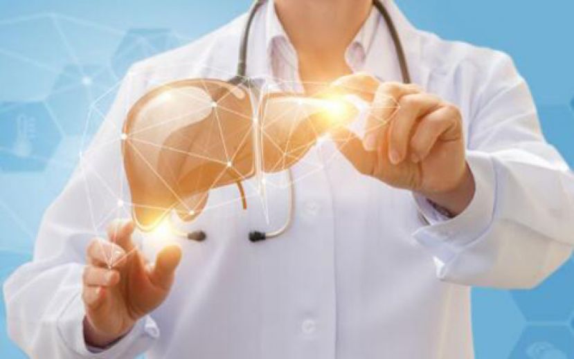 顾眼之前先顾肝  养肝权威教您护肝顾眼