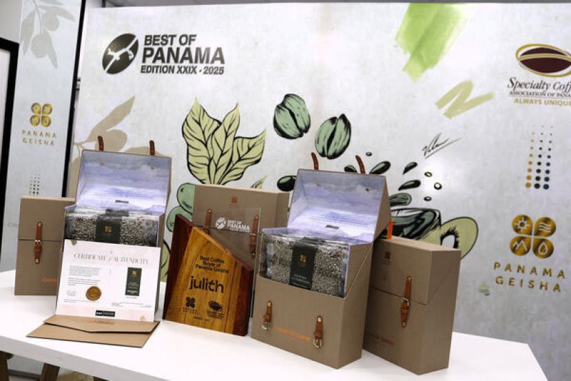 Julith咖啡馆以60万美元的价格购买20公斤咖啡豆。