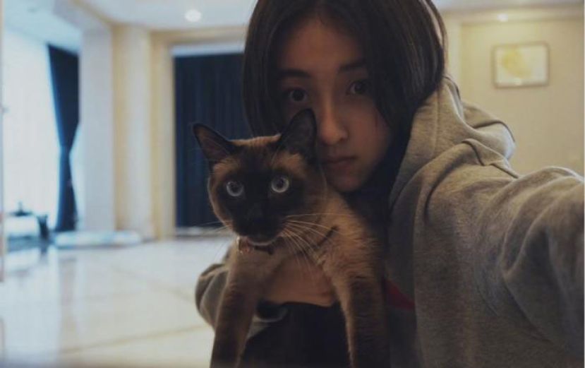 张子枫和去世小猫壬子的合照。