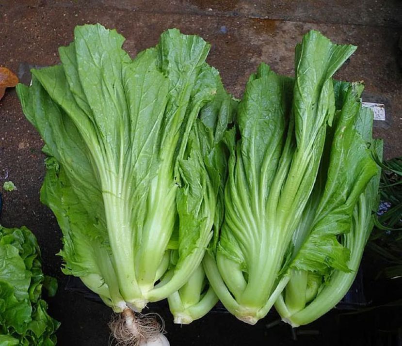 芥菜怎么炒才不会苦？  下锅前3招去苦味：先用热水川烫