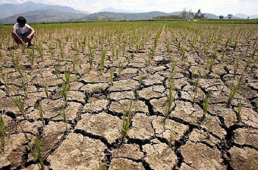 研究：厄尔尼诺持续或致全球多地平均温度破纪录
