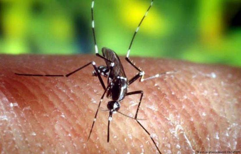 新冠肺炎来袭阻碍了疟疾防治工作。