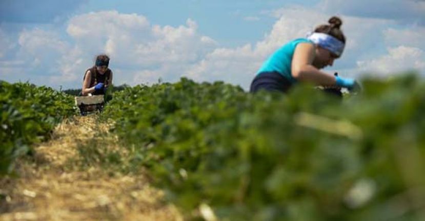 联合国警告或即将爆发粮食危机。