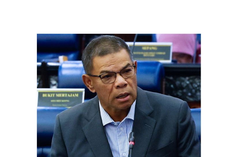 内政部长赛夫丁。