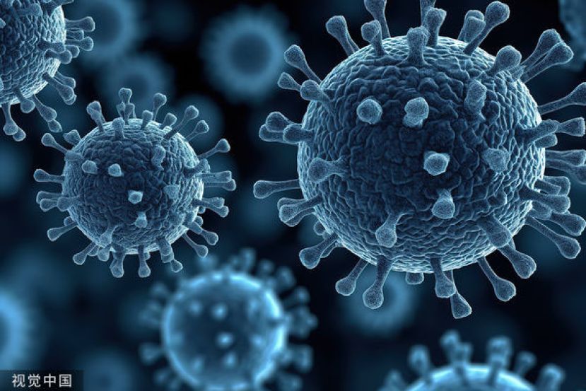 韩国政府8日把立百病毒感染症新增为一级传染病。