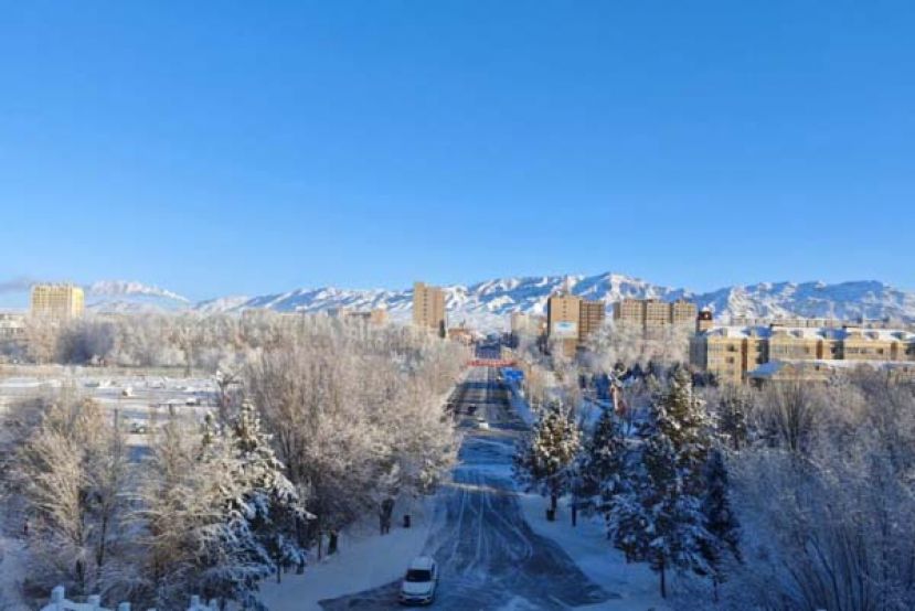 ●新疆雪景。