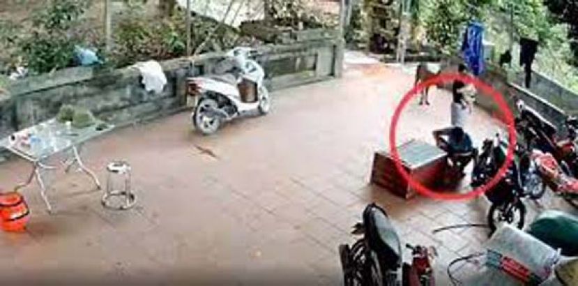 蓝衣男开箱时遭巨蟒突袭。