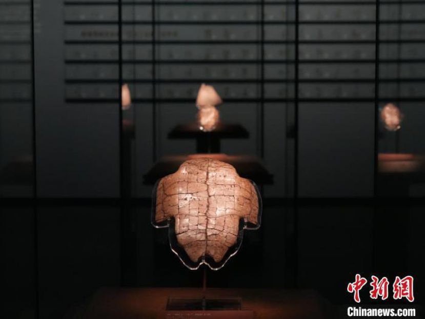 河南安阳，殷墟博物馆新馆展出甲骨片。