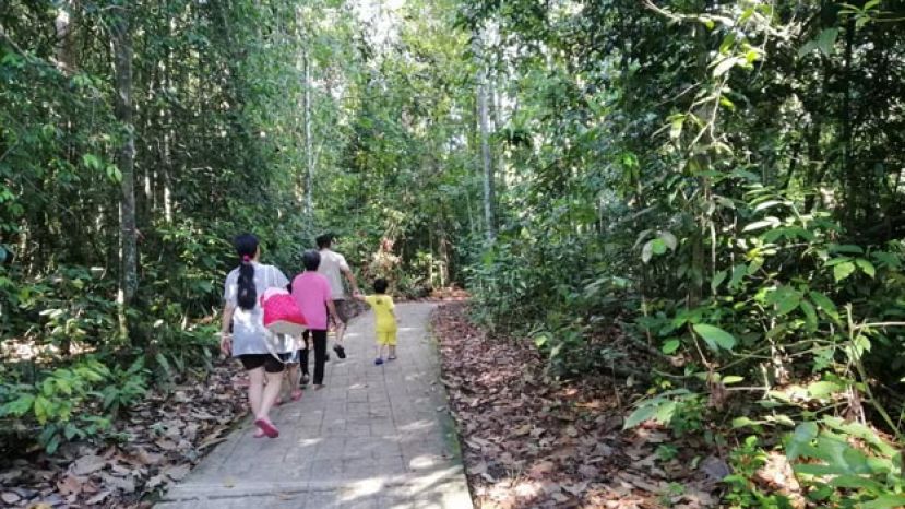 图示：森林公园适合一家大小休闲和体验大自然。