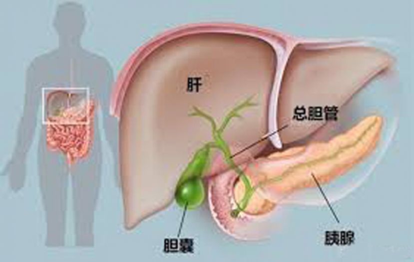 胆囊瘜肉会不会变成癌症？