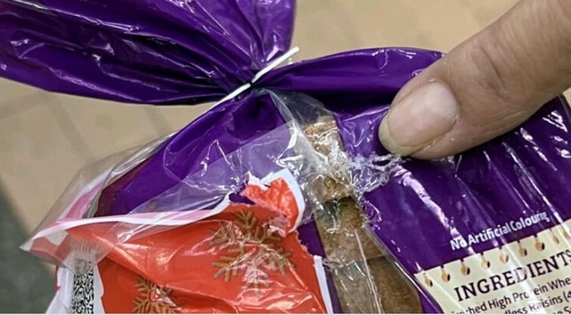 &ldquo;怎么都抓不完！&rdquo;  老鼠横行商家自行&ldquo;灭鼠&rdquo;