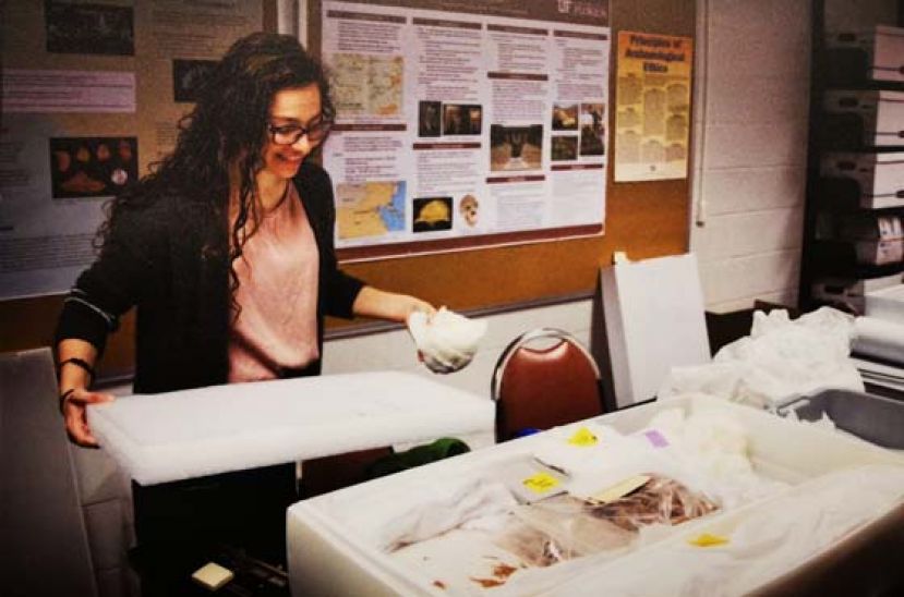 佛罗里达大学考古系学生将骨骸包装入箱。