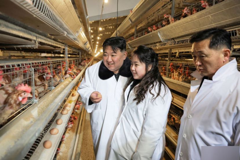 金正恩今年1月7日带著二女儿金主爱视察位于黄海北道的现代化鸡蛋生产工厂。