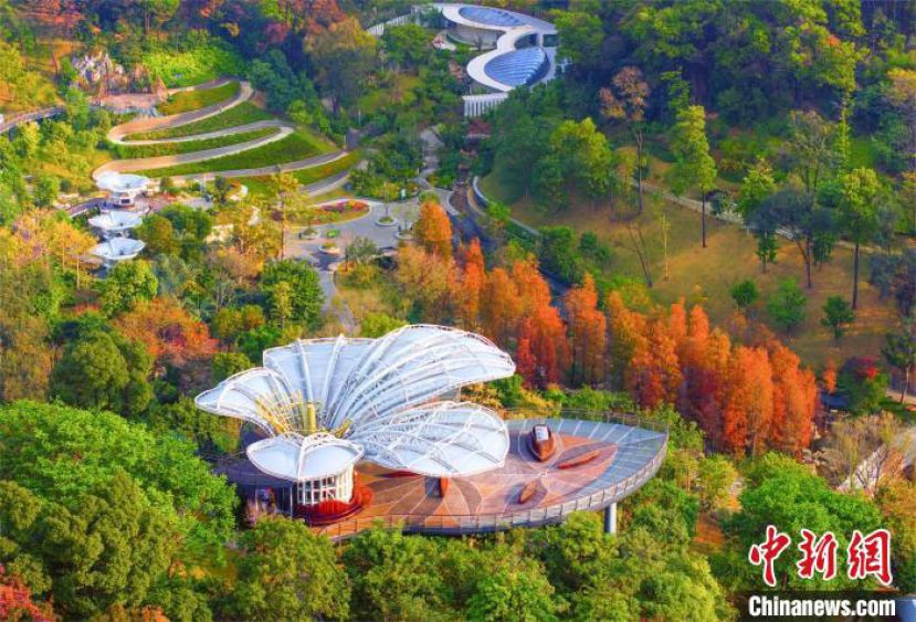 位于广州市白云山风景名胜区南麓的云萝植物园。