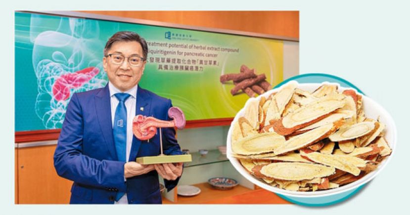 高加信表示“异甘草素”可配合化疗药物提高胰脏癌细胞生长抑制率。