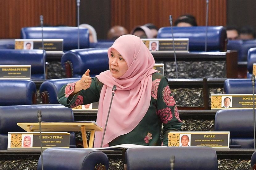 教育部长：教部修订教育条例 包庇霸凌者将被对付