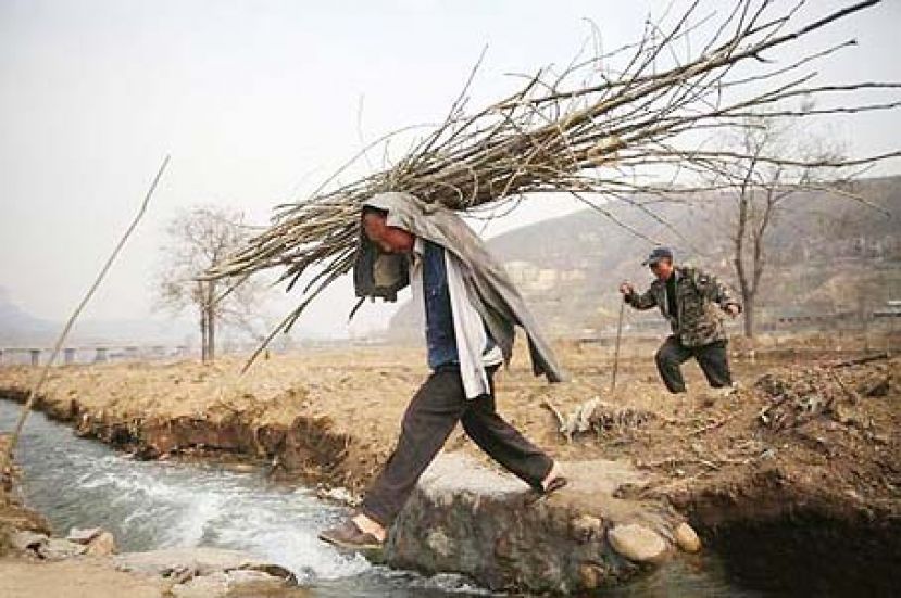 图示：井陉县冶里村残疾人贾文其和贾海霞老哥俩，互为手眼，开始他们的“种树大计”。 