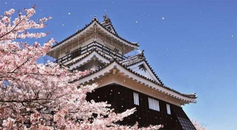 日本再传集体中毒，部分患者验出诺如病毒。