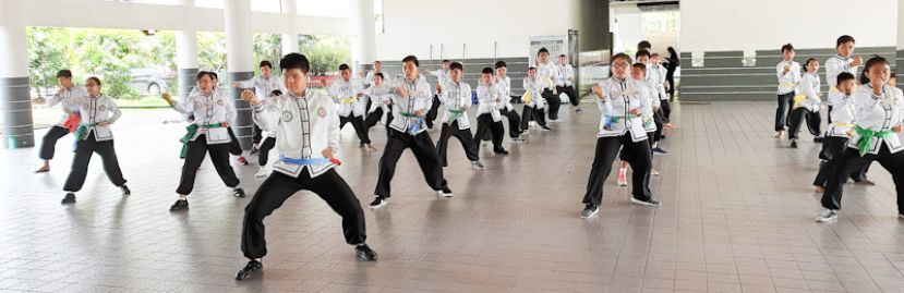 砂拉越南洋武术总会提供免费武术课程给中小学学生