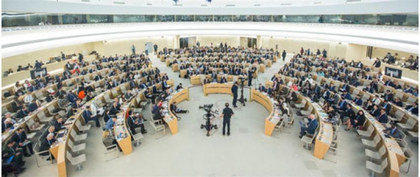 联合国人权理事会。