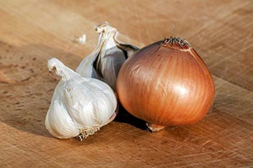 葱蒜防大肠癌 降全身八种癌风险