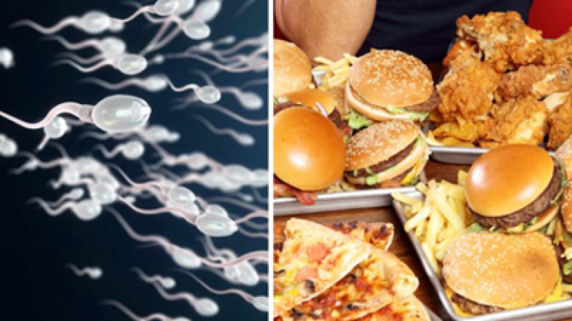 研究：多吃垃圾食物会减少精子数量