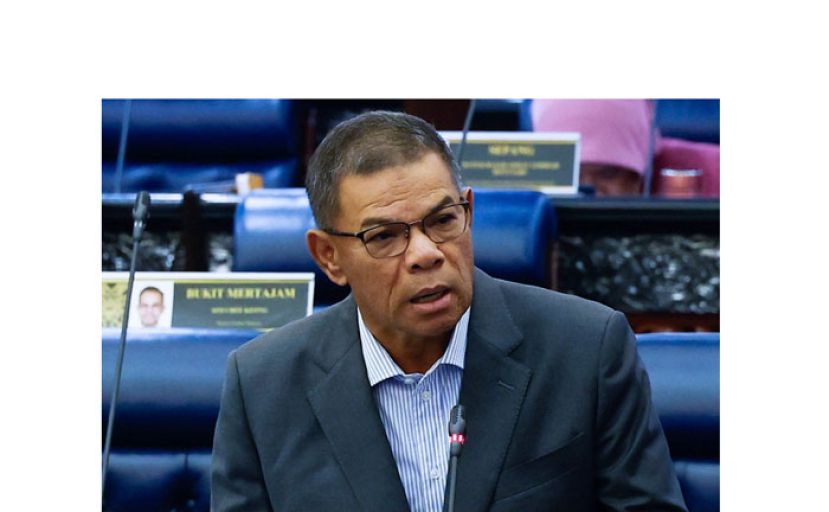 内政部长赛夫丁。