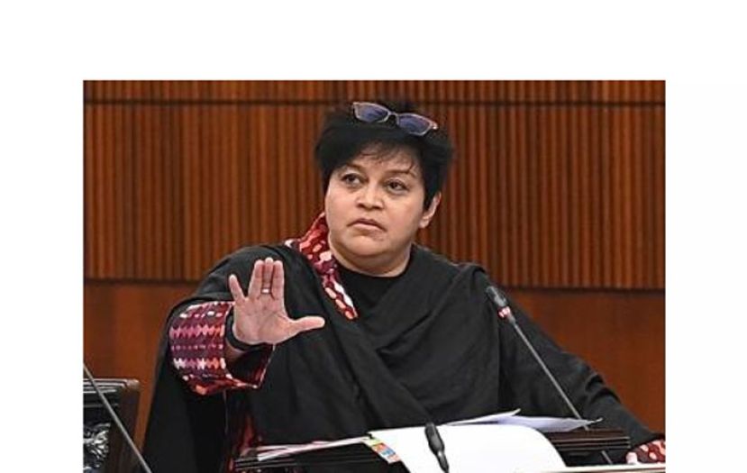 拿督斯里阿莎丽娜。