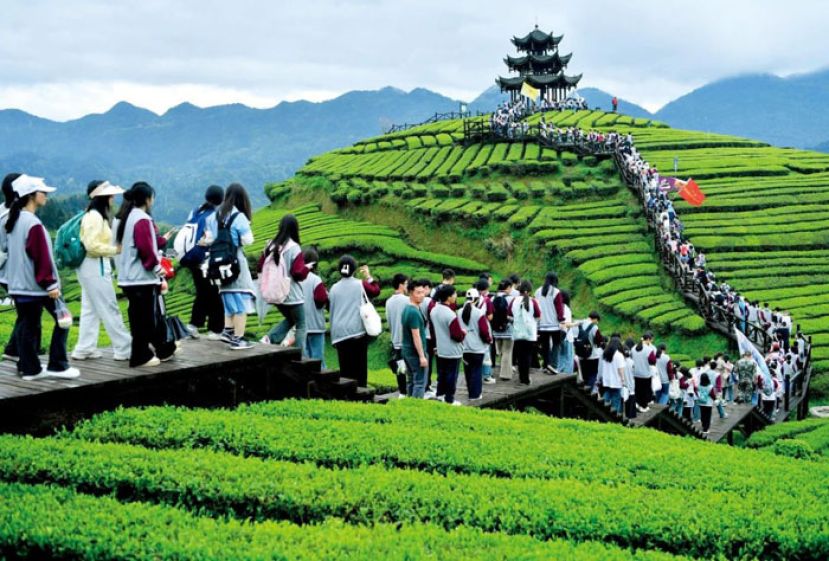 4月3日，湖北恩施州宣恩县一中近3000名师生开展远足研学活动，在茶山间感受茶文化。