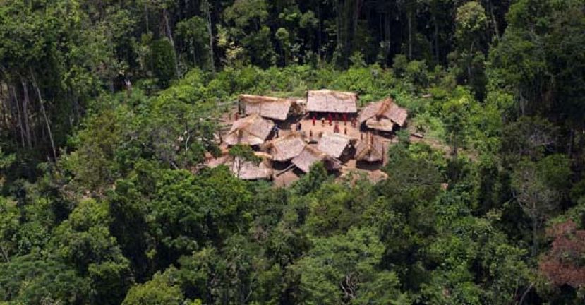 巴西研究指出，原住民族群亚诺马米（Yanomami）的疫情若不受控，可能面临种族灭绝风险。