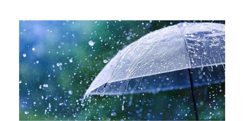 提名日天气预测　96选区上午下雨