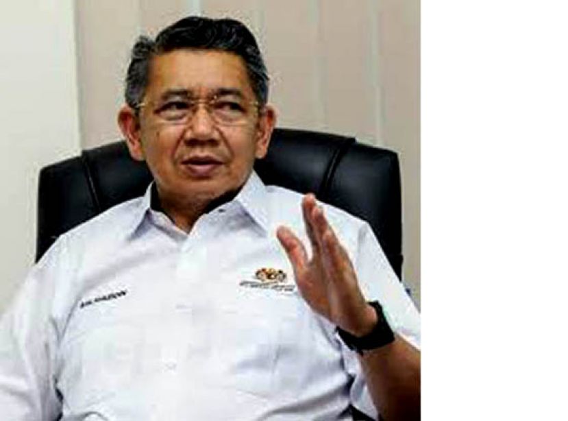  希盟副主席拿督斯里沙拉胡丁。