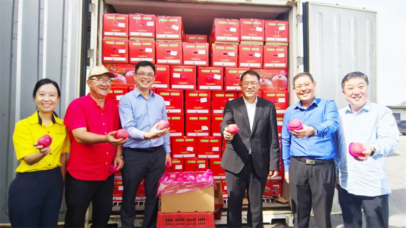 左起为砂拉越总理政治秘书许德婉、砂拉越合利有限公司董事长刘久聪、巴达旺市议会主席陈开、中国驻古晋总领事邢伟平、巴达旺市议会副秘书长吴忝曷及山东骏丰集团董事长兼烟台骏丰贸易有限公司总经理徐骏展示中国烟台苹果。