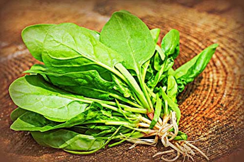 癌症风险降50% 吃7种食物养出不生病体质