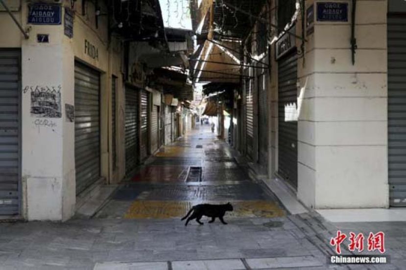 希腊雅典，一只猫在空荡的商业街上漫步。