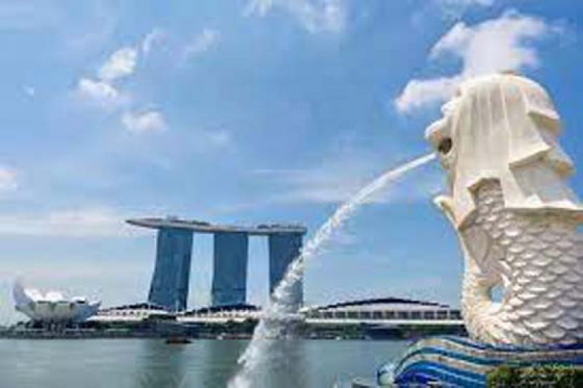 狮城即起不再发布疫情文告。