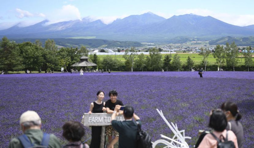 北海道荣登日本都道府县魅力度排行榜第一名。