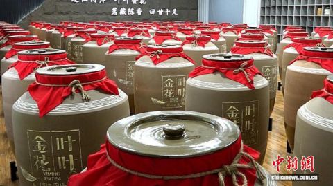 陕西省安康市平利县一茶企的窖藏车间。